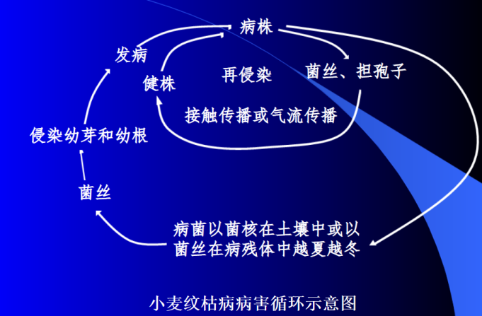 圖片5