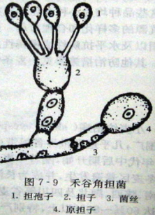 圖片1