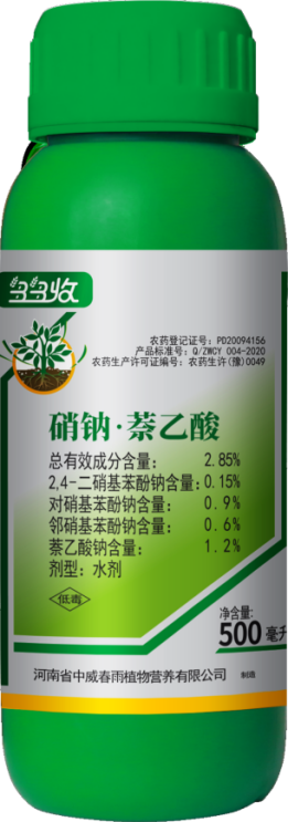 圖片8