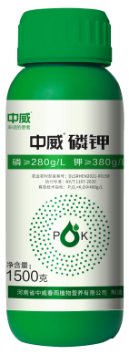 圖片5